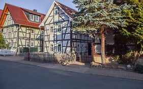 Die drei Haselnüsse